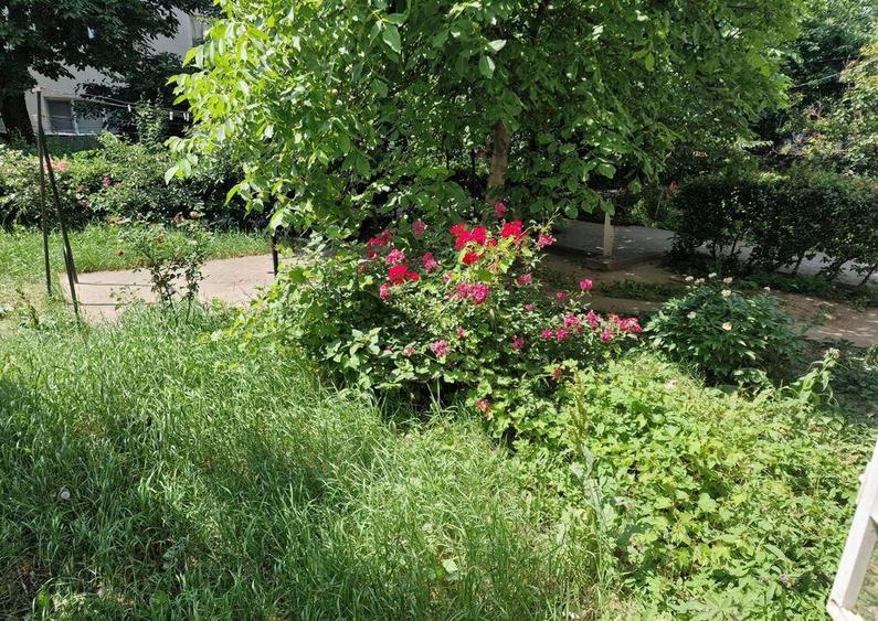 ?Apartament cu 2 camere de vanzare in zona Mioritei - 2