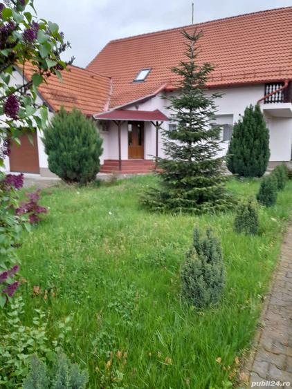 Vila de vanzare in Alma Dumbraveni - 10