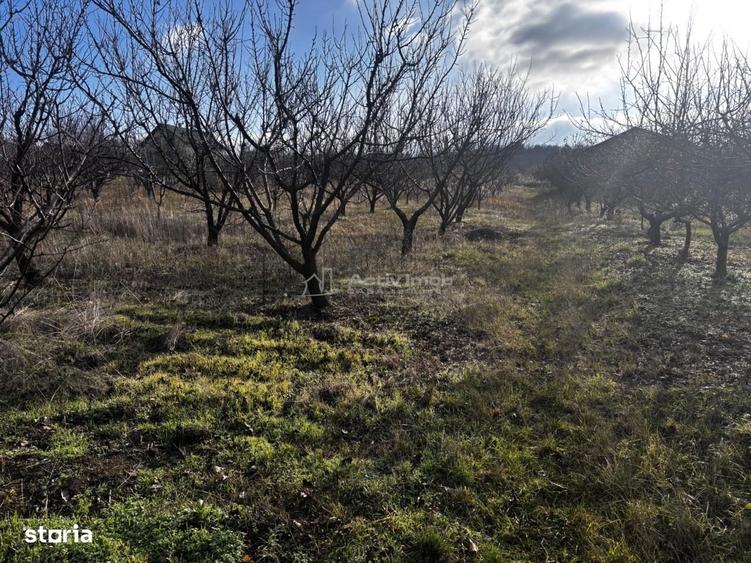 Teren Intravilan Str Livezilor - 9