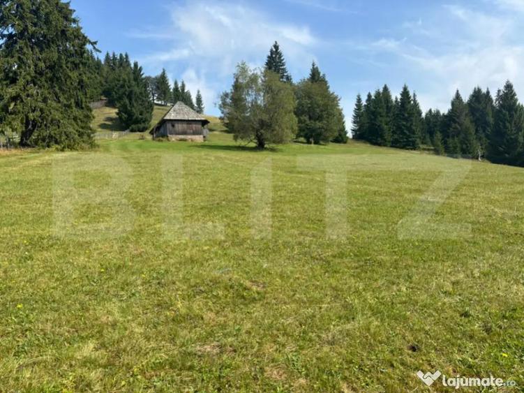 Vanzare teren intravilan de 2 hectare, in Pasul Tihu?a - 2