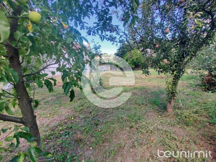 Teren intravilan Sura Mare - 578 Mp - PUZ aprobat si toate utilitatile - 3