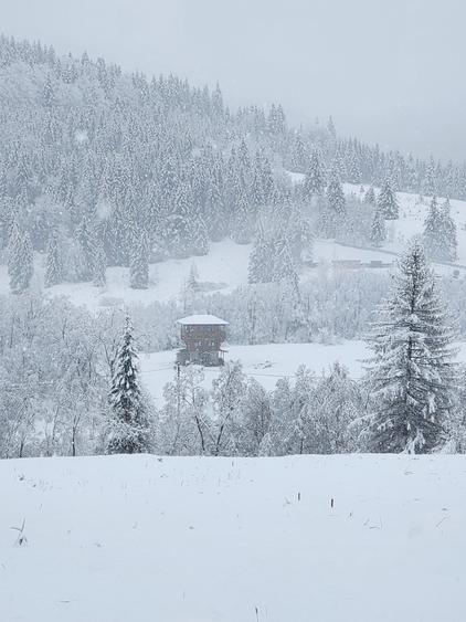 Casa de vacanta,cabana 2026,zona Lacul Rosu Cheile Bicazului - 4