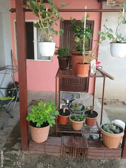 Casa la curte comuna - 5