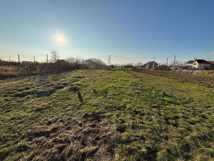 Vand Teren Mosoaia. - 3