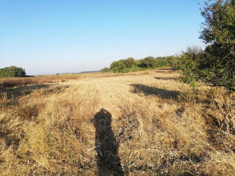 Teren extravilan (agricol Arabil) - 3