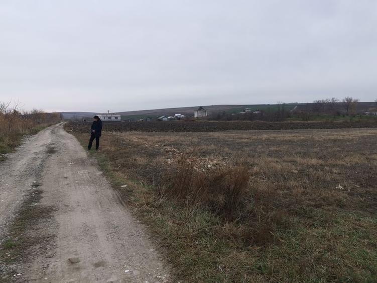 Teren agricol intravilan în Periferie