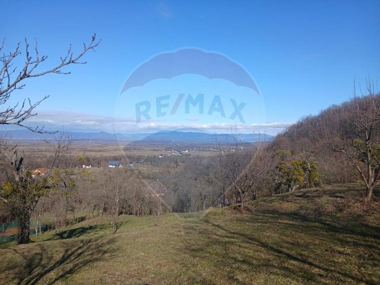 Teren intravilan generos 3.206 mp în Remecioara | Priveliște deosebită - 1