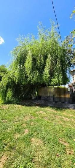 Vila Ialomita -Livedea lac - 5