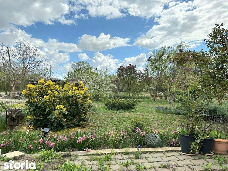 Vila P+M cu 2300MP teren | 6 camere | 278MP | 30 min Bucuresti - 3