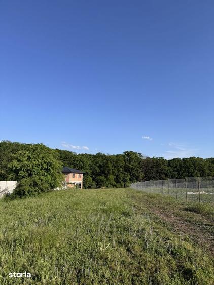 Teren Intravilan Branesti-Ilfov, la marginea padurii, aproape de lac - 1