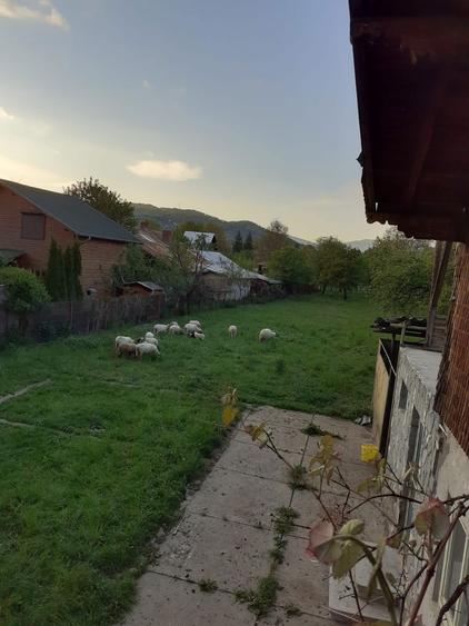 Teren intravilan! - 3