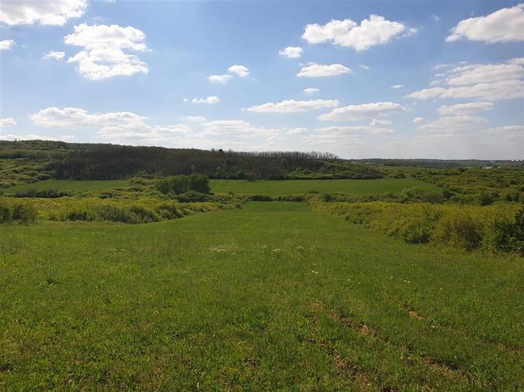 Teren extravilan Uileacu de Munte. - 2