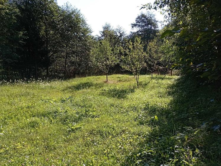 Teren +cladire de vanzare in Statiunea Voineasa - 2