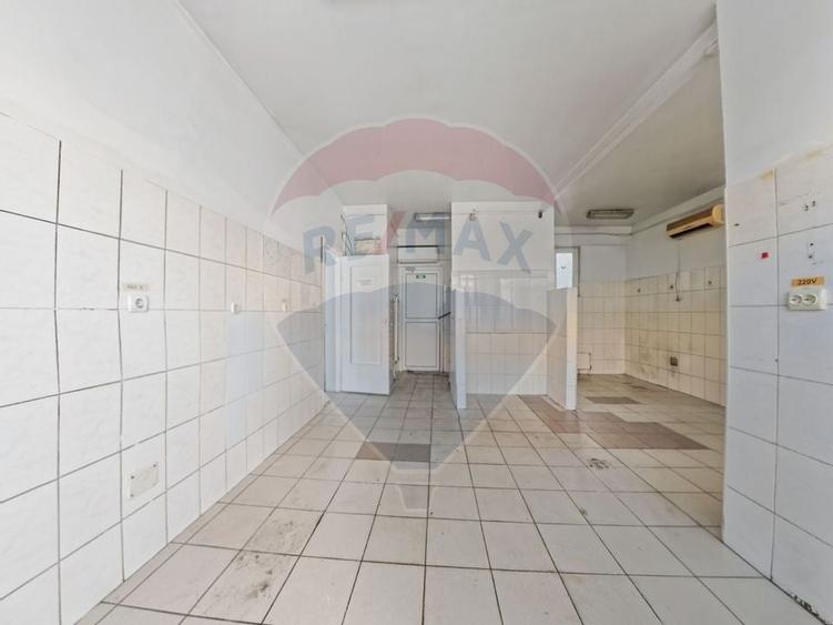 Cladire individuala 243 mp de inchiriat pe strada Mioritei - 8