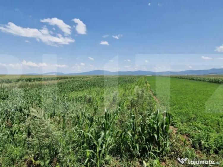 ???? Teren de vanzare, partial intravilan Izvor, Tarlu - 5