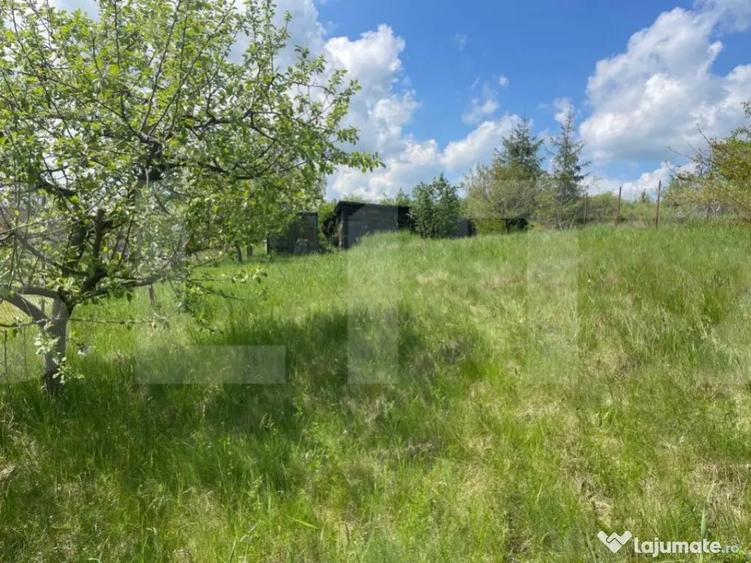 Investitie ! Teren intravilan,494 mp, front 14 m,cart Dambu - 7