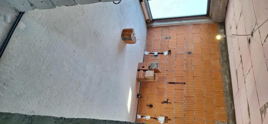 Casa bradu p+1 - 7