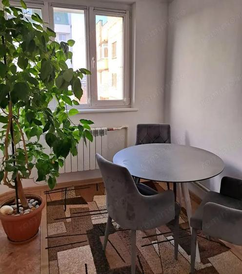 De inchiriat apartament 1 camera in zona Elisabetin - 2