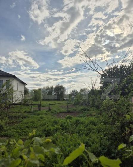 Casa de vanzare in Sancraiul de Mures 1260 mp teren - 4