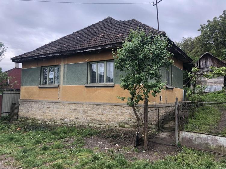 Casa Cristur- Criseni - 1