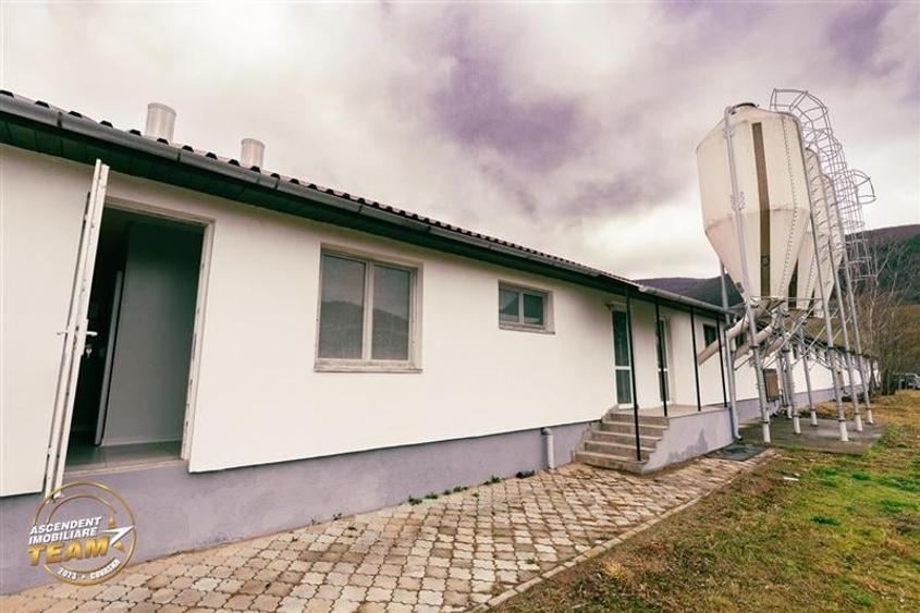 FILM! Ferma de iepuri,Malnas,Covasna: domeniu:comercial/industrial,asset UE - 18