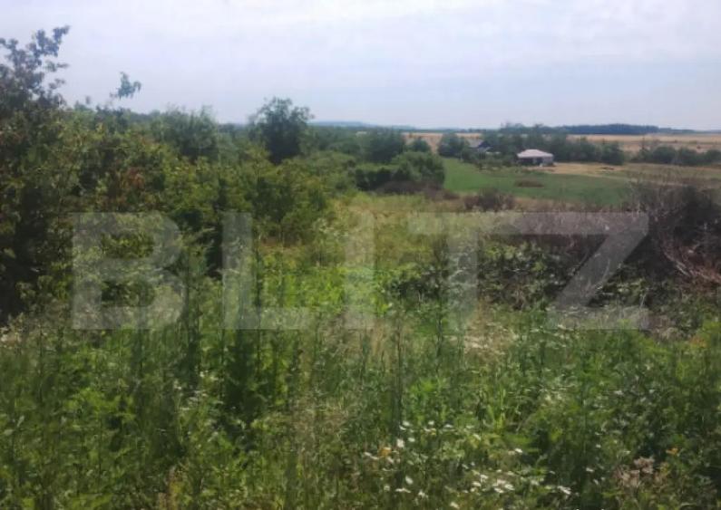 Teren intravilan Ardud Vii - 3