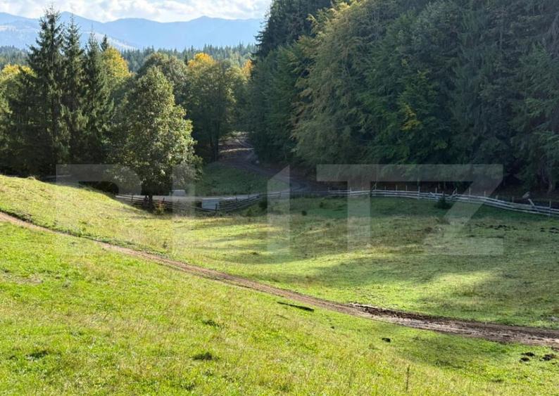 Teren intravilan 28 Ari zona Colibita - 4