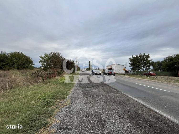 Teren intravilan 15000 mp oportunitate business - 8