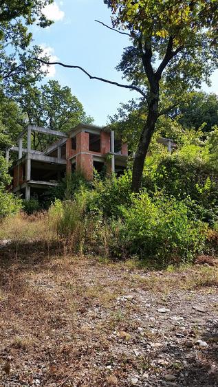 proprietar vand teren extravilan FELEAC - 1