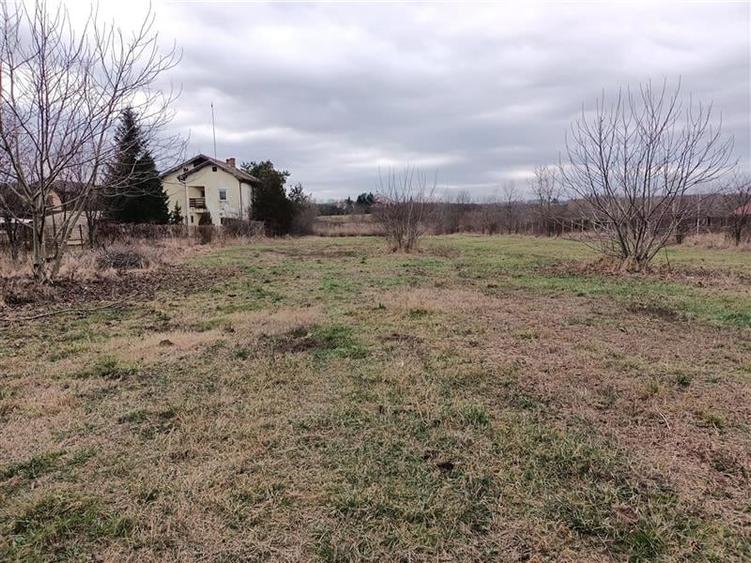 Teren Lacul Snagov Manastirea Snagov - 3