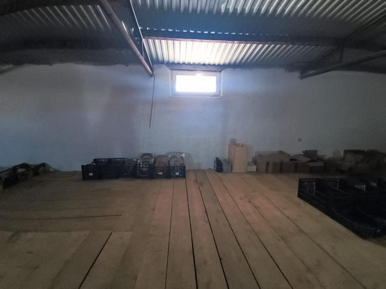 Hală Industrială | 519 MP | Teren 2419 MP | Suceava - 6