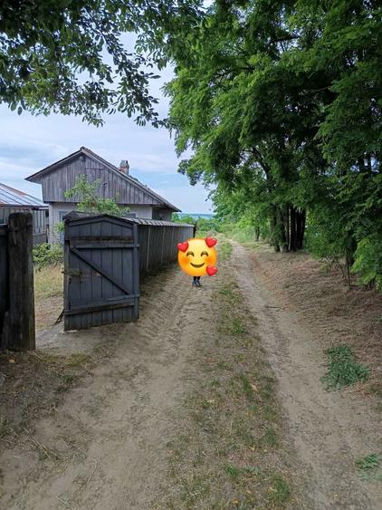 Vand casa Paltinis judetul Botosani - 6