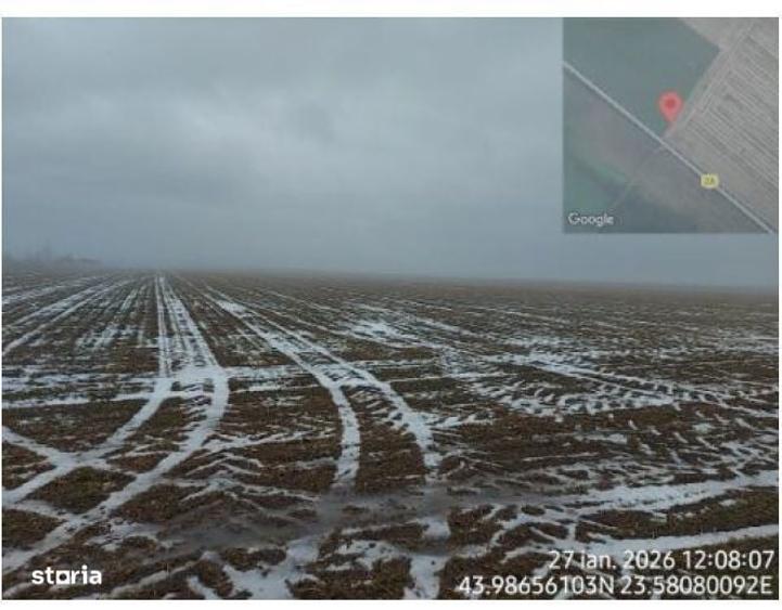 Teren Extravilan- Loc. Barca, jud. Dolj - 2