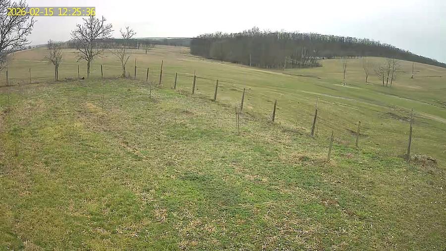 Teren cu casa de vacanta - 3