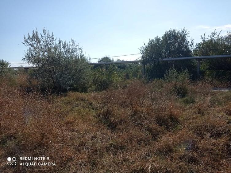 OCAZIE! CAP MIDIA -teren intravilan cu PUZ -5.000 mp, situat l&acirc;ngă mare! - 6