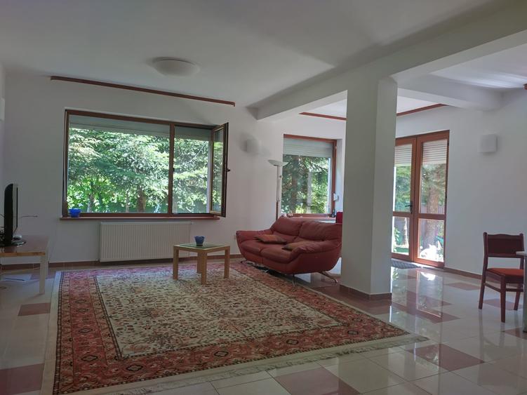 Vila de vanzare in Snagov in vecinatatea padurii - 6