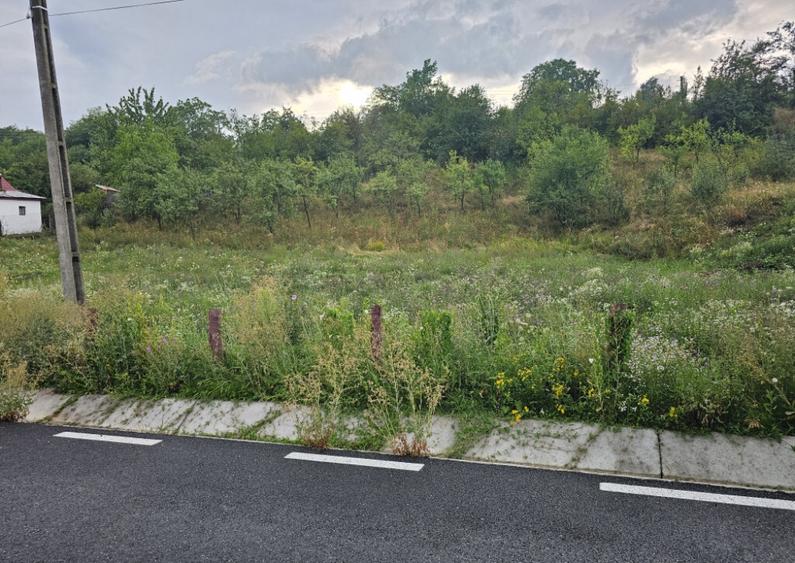 Vand loturi intravilane! - 3