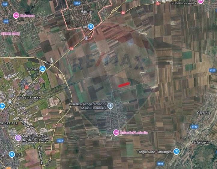 Teren Harman 37800mp la 50m de UAT Tarlungeni -cartier Izvor - 2