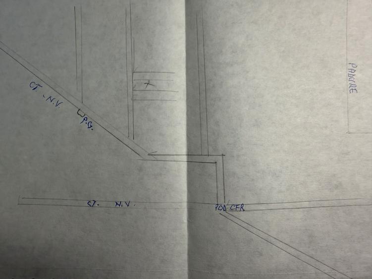 Teren agricol extravilan 5 ha Negru Voda arendat 12.100 /ha - 1