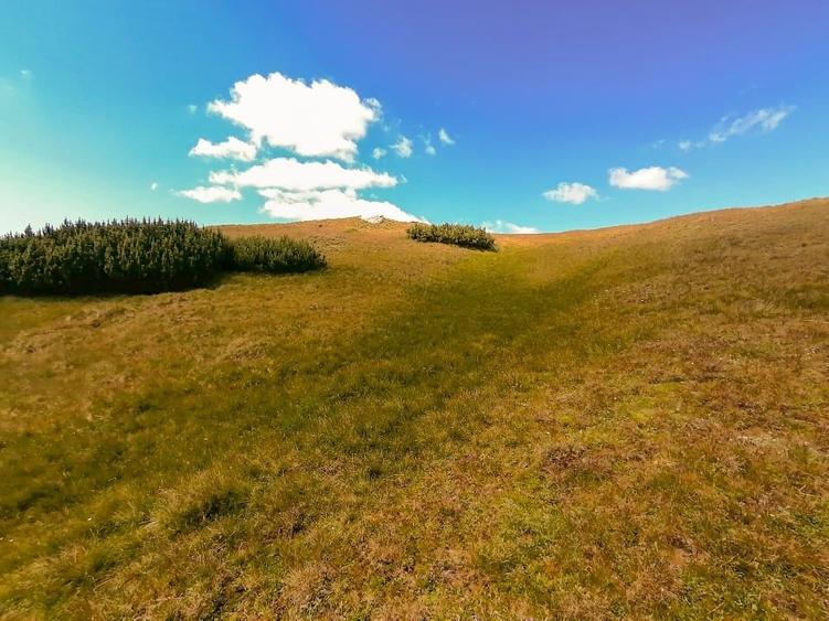 terenuri in Bucegi, Zona Alpina Inalta, pentru dezvoltare cabane, vile turistice - 11
