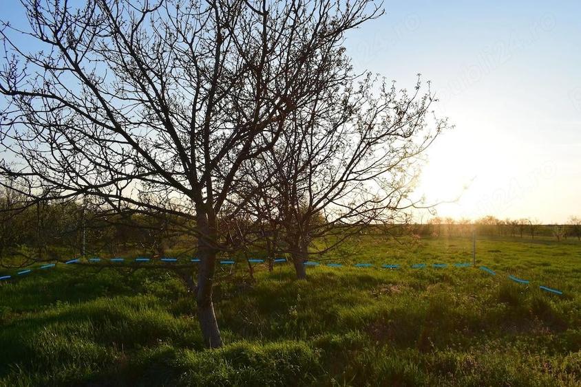 Teren intravilan 1000mp + casuta mica structura metalica + casa demolabila - 5