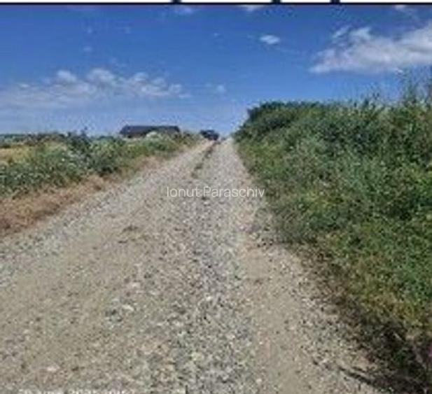 Teren Balteni, cota parte 1/4, ID: R2695268