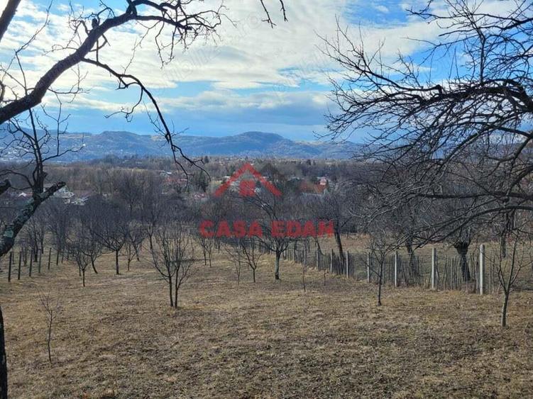 Teren intravilan in Cornu--2991mp--29e - 10