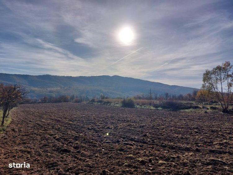 Surduc, teren curti si gradina, 4.316 mp in localitatea Fardea - 2