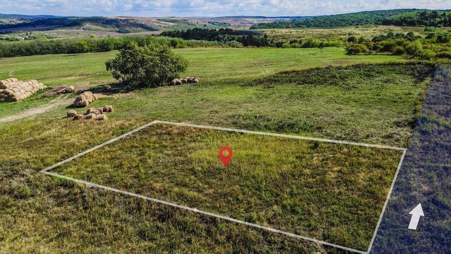 Teren intravilan de vanzare – 902 mp, Paleu, Bihor | PUZ aprobat - 6