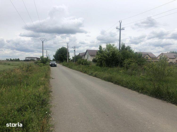 Vanzare Teren construibil 500mp 1 Decembrie Ilfov - 4