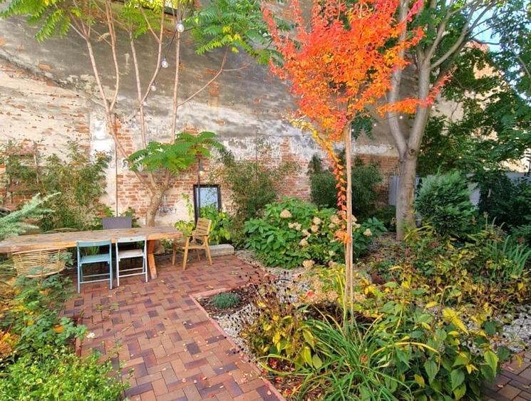 Vila 7 camere  Dacia - 15