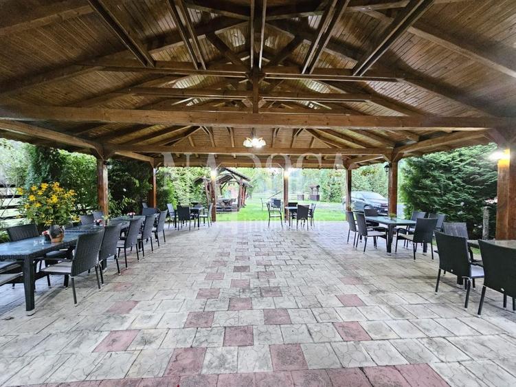 Casa 19 camere de vanzare in Margau - 5