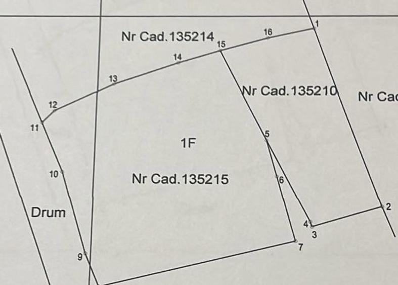 1258 mp, Strada Viilor, Baia Mare, 2 parcele alaturate, 125 000 - 6