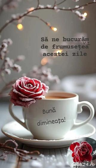 Inchiriere casa individuala - 5